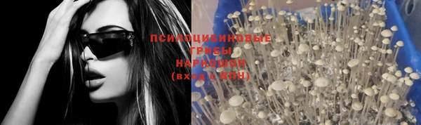экстази Алексин