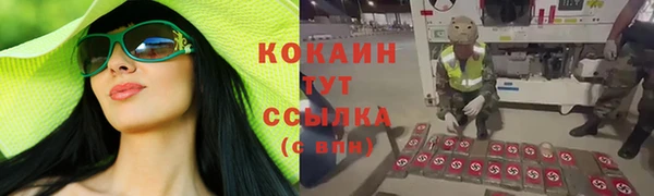хмурый Алзамай