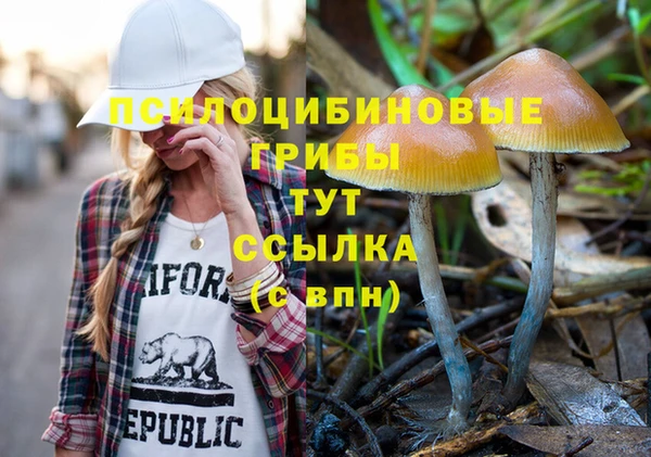 экстази Алексин