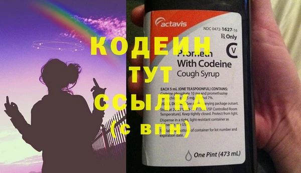хмурый Алзамай