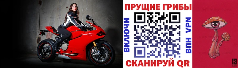 купить закладку Мегион Псилоцибиновые грибы прущие грибы